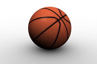 九游在线玩-中国篮球职业联赛俱乐部青训人才培养模式创新，中国篮球青训队